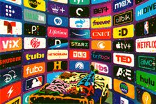Thumbnail of The Streaming Wars Didn’t Kill the Little Guys. In Fact, They’re Thriving.