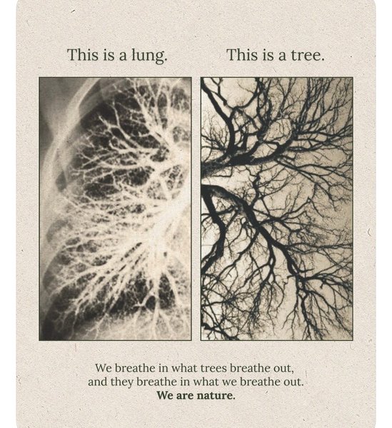 Preview of 2974-jpeg-6b7a0c9a88ab48a5