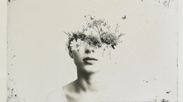 Thumbnail of Commerce Captivity: The Violent Stasis of European Nostalgia | Insiders