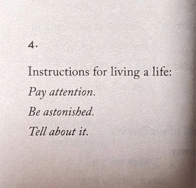 Thumbnail of 🌀 Open Loops #132