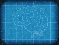 Thumbnail of The Curious Beginner’s Guide to Microdosing Psychedelics for Work, Relationships, and Happiness