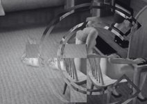 Thumbnail of To Childfree or Not to Childfree, Is There Any Right Way?