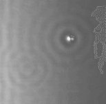 Thumbnail of About | Ping Practice