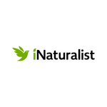 Thumbnail of Observations · iNaturalist