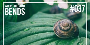 Thumbnail of Soulcraft, Snails, and Synchronicity