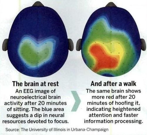 Thumbnail of feed updates