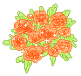 Thumbnail of introduction