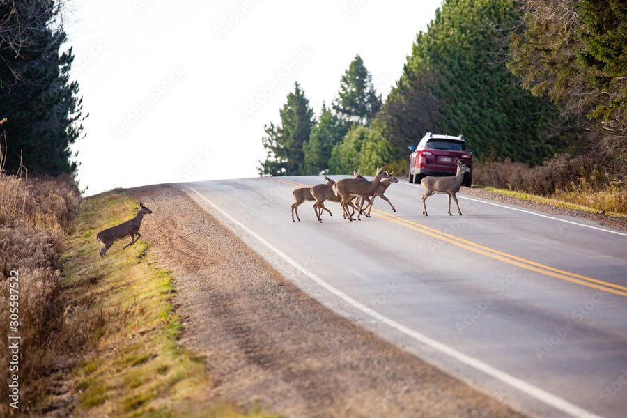 Thumbnail of wisconsin county highway - Google Search