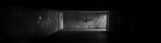 Thumbnail of Transforming Pain - A Daily Meditation by Fr. Richard Rohr