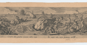 Thumbnail of Monsters of the Deep: Between Imagination and Science | MIT Museum