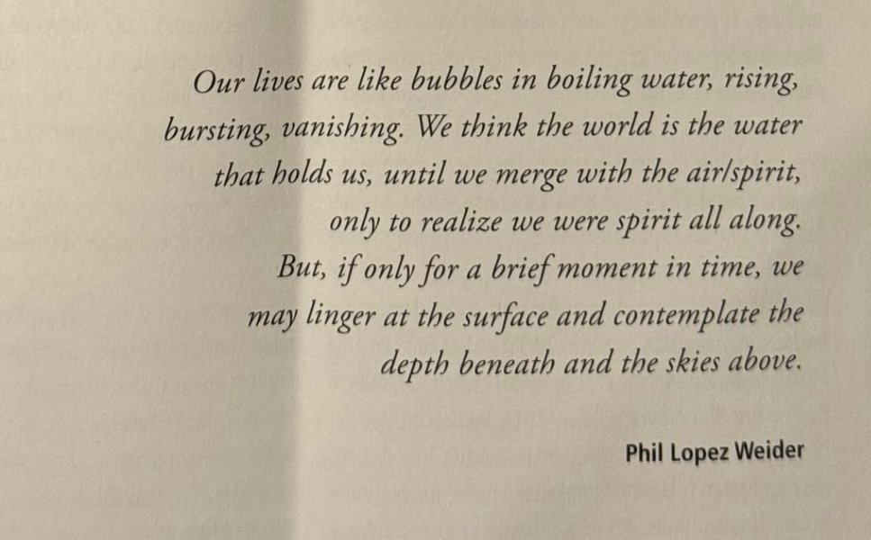 Preview of 282f7311242d-jpg