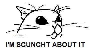 Thumbnail of Tumblr Dashboard