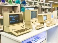 Thumbnail of Discover 140 chain link and dogs ideas | chain link, computer love, silly animals and more