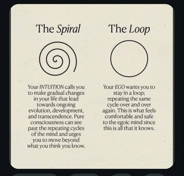 Thumbnail of Rec | SPIRALS