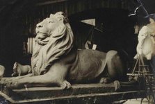 Thumbnail of NYPL Digital Collections