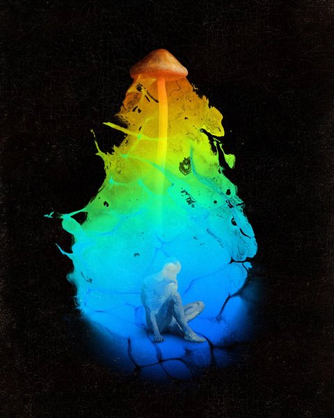 Thumbnail of The Present — mendezmendez