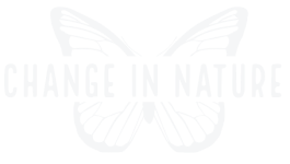 Thumbnail of Change in Nature