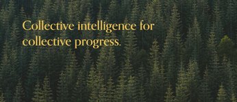 Thumbnail of Whitepaper — The Collective Intelligence Project