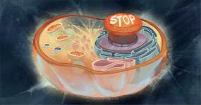 Thumbnail of Most Life on Earth is Dormant, After Pulling an ‘Emergency Brake’ | Quanta Magazine