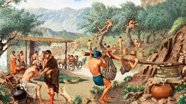 Thumbnail of The Bitter Truth About Olives