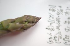 Thumbnail of Forms of life, forms of mind | Dr. Michael Levin