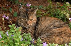 Thumbnail of Six on Saturday – 23/8/2025