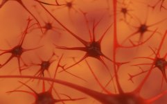 Thumbnail of Your Brain Does Not Process Information and It Is Not a Computer | Aeon Essays