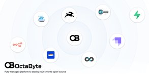Thumbnail of No-code / Low code - Fully managed open-source catalog | OctaByte.io