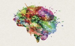 Thumbnail of How Emotions Are Made: The Theory of Constructed Emotion