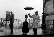 Thumbnail of the delight of specificity