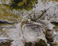 Thumbnail of Psychic Geologies