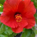 Thumbnail of Post by @heartwombmind