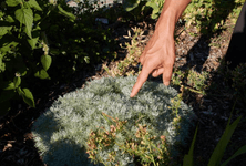 Thumbnail of Embodying an Ecological Framework | Are.na Editorial