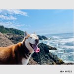 Thumbnail of Attention, Distraction, and Your Responsibility