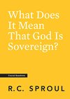 Cover of What Does It Mean That God Is Sovereign?