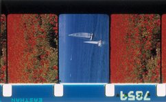 Thumbnail of Poppies and Sailboats, Rose Lowder, 2001 - Media City Film Festival