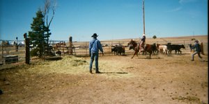 Thumbnail of Grassroots American dynamism