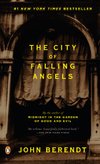 Cover of The City of Falling Angels