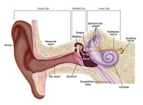 Thumbnail of How Do We Hear?