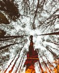 Thumbnail of The Obstacle is You