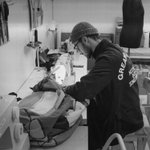 Thumbnail of The Rising Talent of Functional Design โ sabukaru