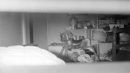 Thumbnail of “The Journalist and the Murderer,” by Janet Malcolm