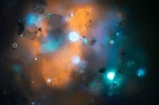 Thumbnail of We Are Made of Stars: A Look at Human Ashes Under a High Powered Microscope