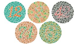 Thumbnail of Being a Color Blind Designer