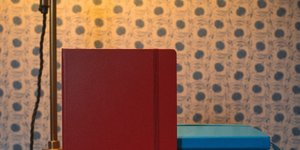 Thumbnail of A new way of seeing: where to begin when analysing a novel