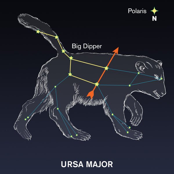Thumbnail of Spring Constellation Spotlight: Ursa Major | Celestron