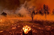 Thumbnail of Ahead of Another Summer of Climate Disasters, Let's Talk about Real Solutions