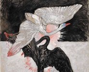 Thumbnail of against narrative