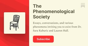 Thumbnail of The Phenomenological Society | Substack