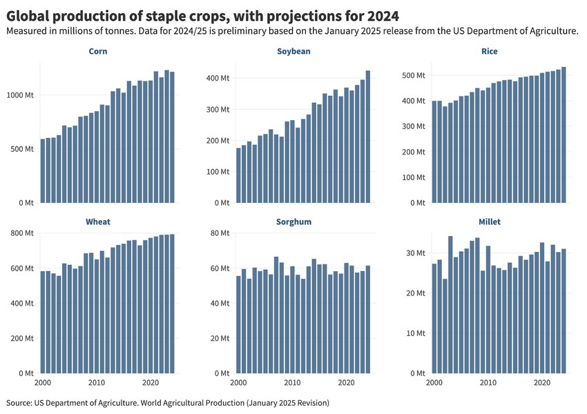 Thumbnail of How much food did the world produce in 2024?